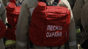 Губернатор Александр Гусев поручил продлить противопожарный режим в Воронежской области
