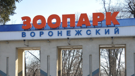 Областной фестиваль «Экоград» пройдет в Воронежском зоопарке