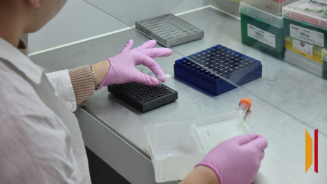 Более 2 тыс воронежцев потребовалась медицинская помощь после укусов клещей