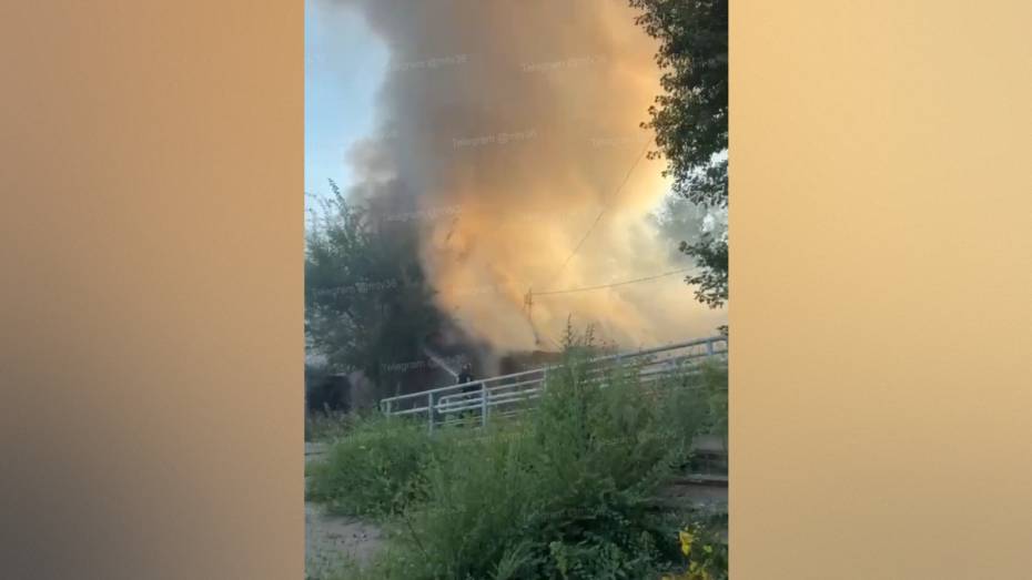 Крупный пожар на улице Новгородской в Воронеже сняли на видео