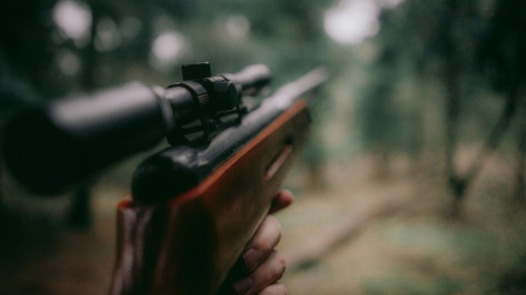 Воронежский пенсионер расстрелял из пневматики шумевших детей