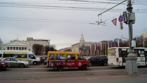 Воронежские частные перевозчики потратят около 600 млн рублей на новые автобусы 