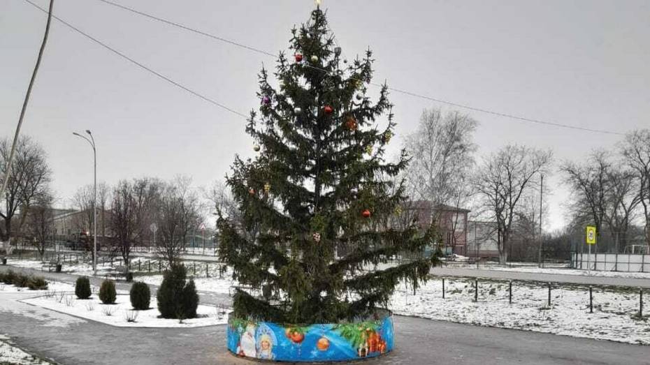 В грибановском селе Нижний Карачан установили 7-метровую новогоднюю ель