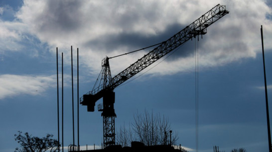 Власти Воронежа утвердили проект застройки многоэтажками 115 га у Сомовского лесничества