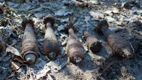  В Нововоронеже недалеко от строящейся АЭС-2 обнаружили боеприпасы времен Великой Отечественной