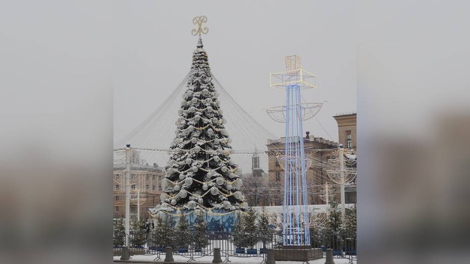 До +4 градусов потеплеет в Воронеже 1 января