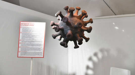 COVID-19 заразились еще 673 жителя Воронежской области