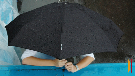 Дождливая и прохладная погода сохранится в Воронеже на рабочей неделе