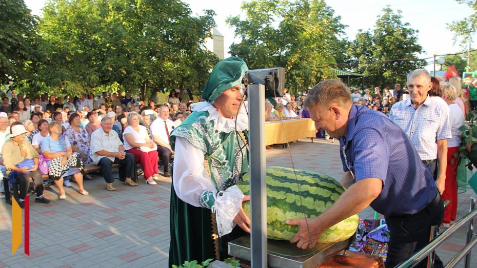 В Воронежской области на фестивале народных культур и традиций выбрали самый большой арбуз