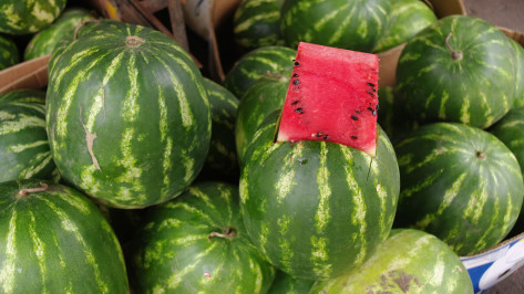 В Воронеже подавившийся арбузом малыш провел 2 дня в коме