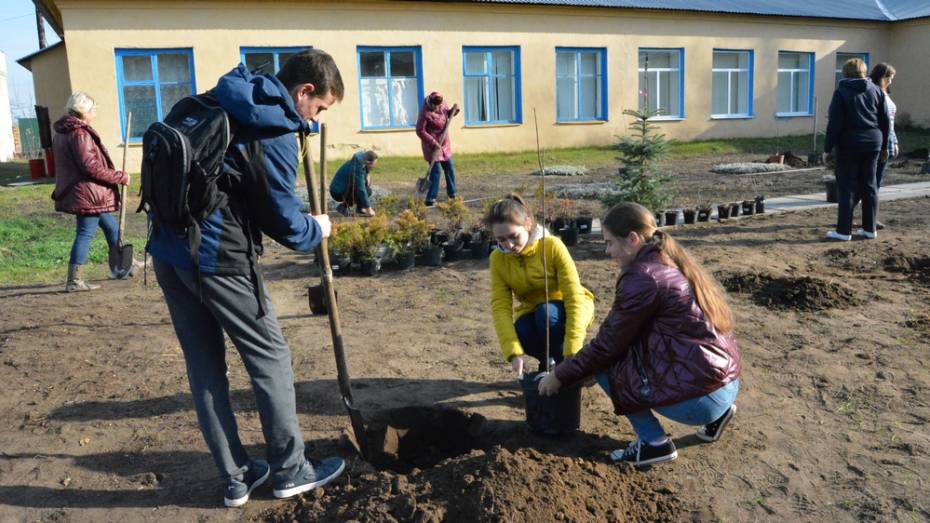 Студенты педуниверситета посадили во дворе богучарской сельской школы 90 деревьев