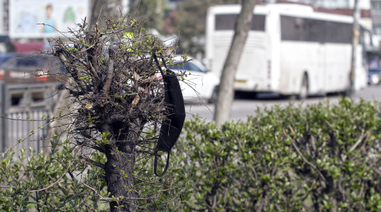Летом коронавирусом заразились почти 34 тыс жителей Воронежской области