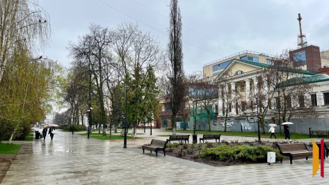 Итоги недели. Что важного произошло в Воронежской области с 13 по 19 апреля