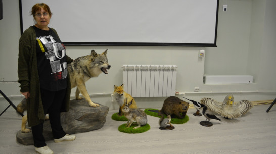 В Петропавловке в краеведческом отделе появится новая экспозиция «Флора и фауна»