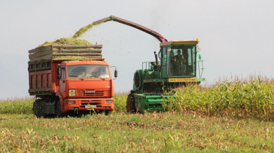 Воронежская область заняла 5 место в России по объему производства сельхозпродукции
