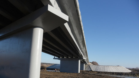 Мост через реку Токай в Воронежской области отремонтируют в 2022 году за 168 млн рублей