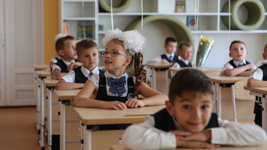 Эффективные школы и детсады Воронежской области получат материальные поощрения