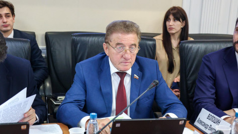 Воронежский сенатор Сергей Лукин: контроль миграции и безопасность – приоритеты новых налоговых инициатив