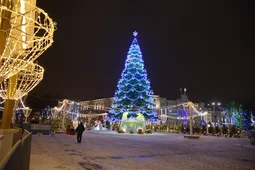 В Новый год воронежцев пустят на площадь Ленина без QR-кода и измерения температуры