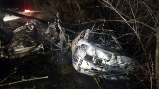 Липчане сгорели в машине после ДТП в Воронежской области