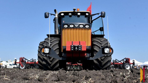 Молодого тракториста из Воронежской области осудили за гибель разнорабочего