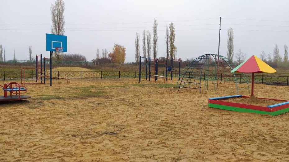 В верхнемамонском селе Мамоновка активисты сделали детскую площадку