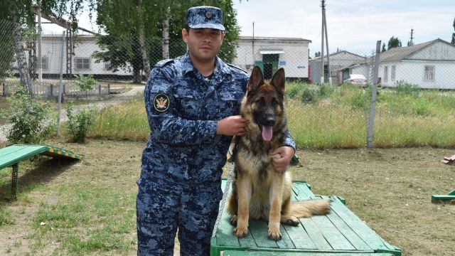 «Даира родила щенков с миской в зубах». Кинологи воронежского УФСИН рассказали о своей работе