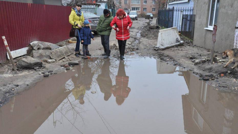 Главной проблемой Воронежа горожане назвали грязь