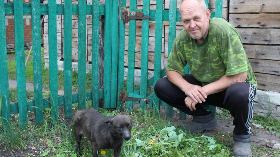 В Терновском районе агрессивная лиса напала на  собаку