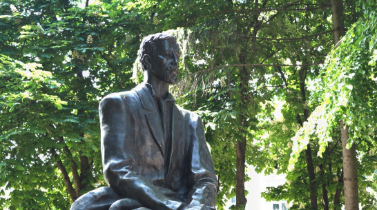 Никитинская библиотека проведет в Воронеже масштабный Фестиваль книги