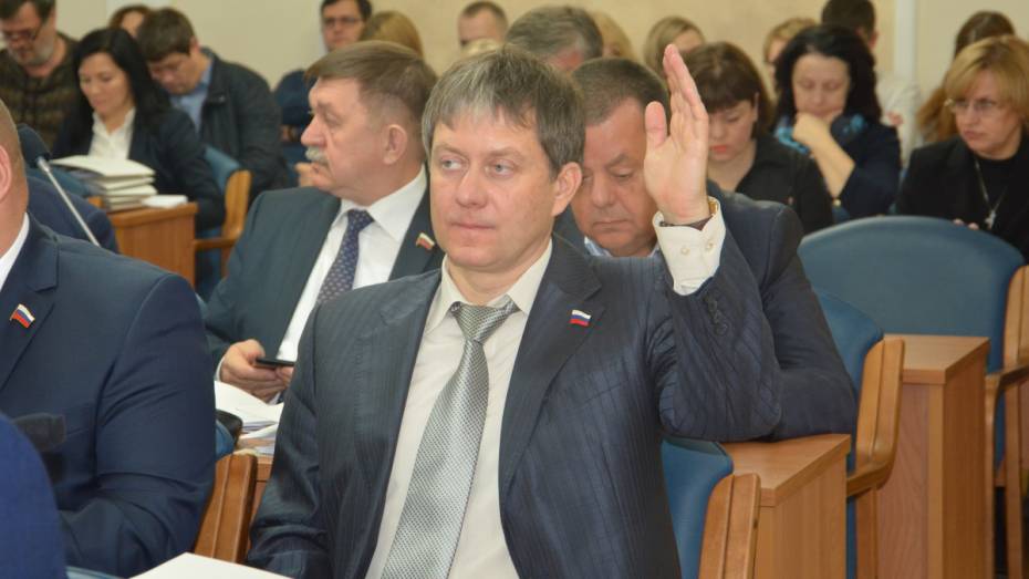 Гордума включила в новый состав Общественной палаты Воронежа 4 бывших депутатов