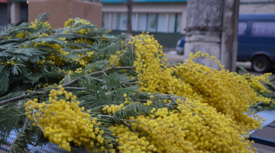 Воронежцы отметят Международный женский день концертами и выставками 