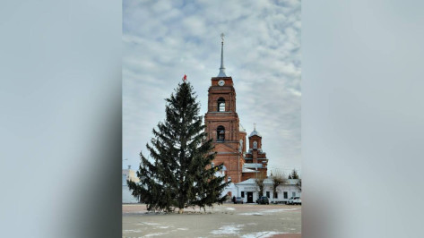 В Бутурлиновке упавшую из-за ветра новогоднюю ель вернули на место