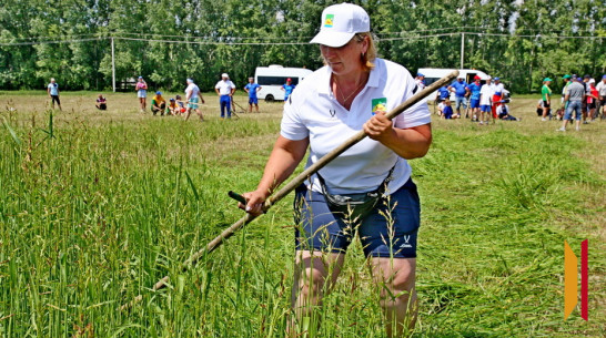 Сельские игры планируют вновь проводить в Воронежской области