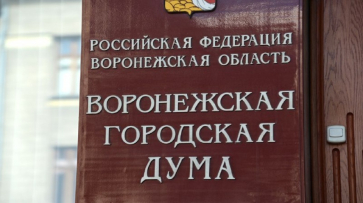 Депутаты гордумы отказали воронежцам в проведении конференции о выборах мэра