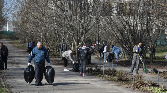 В Воронеже отменили общегородской субботник