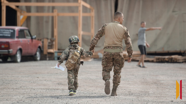 Власти разработали кадровую программу «Герои земли Воронежской» для участников и ветеранов СВО