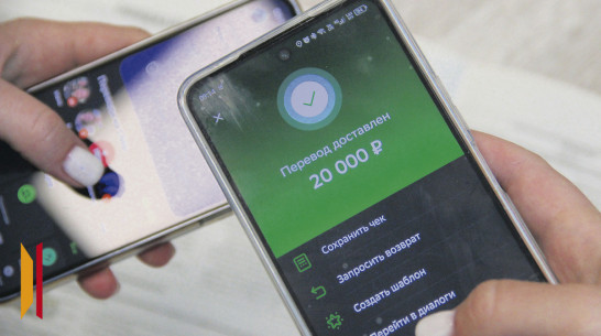 Юная жительница Подгоренского района стала посредником мошенников