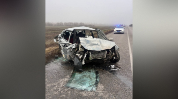 В Воронежской области женщина на «Ладе Калине» выехала на встречку и погибла