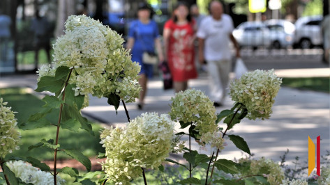 Обзор РИА «Воронеж». Какие законы вступают в силу в июле 2025 года