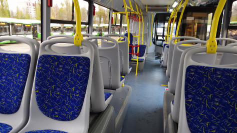 Вторую партию крупных автобусов в Воронеже выпустят на 3 маршрута