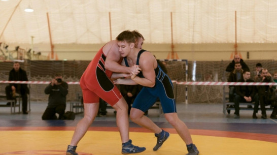 Воронежец победил на Кубке Европы по греко-римской борьбе 