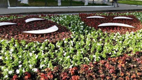 В Воронеже возле БСМП появится сквер «Версаль»