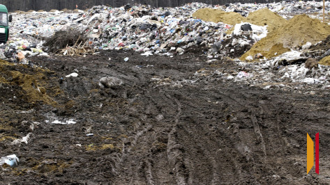 Под Воронежем предприятие обязали ликвидировать крупную свалку