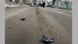 В Воронежской области иномарка сбила на пешеходном переходе 10-летнего мальчика