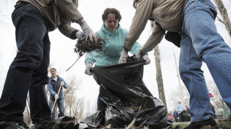 Во время месячника благоустройства в Воронеже вывезли 50 тыс кубов мусора