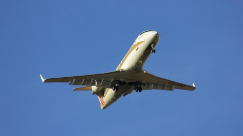 Минтранс внес Воронеж в предварительный список льготных авиарейсов в Крым