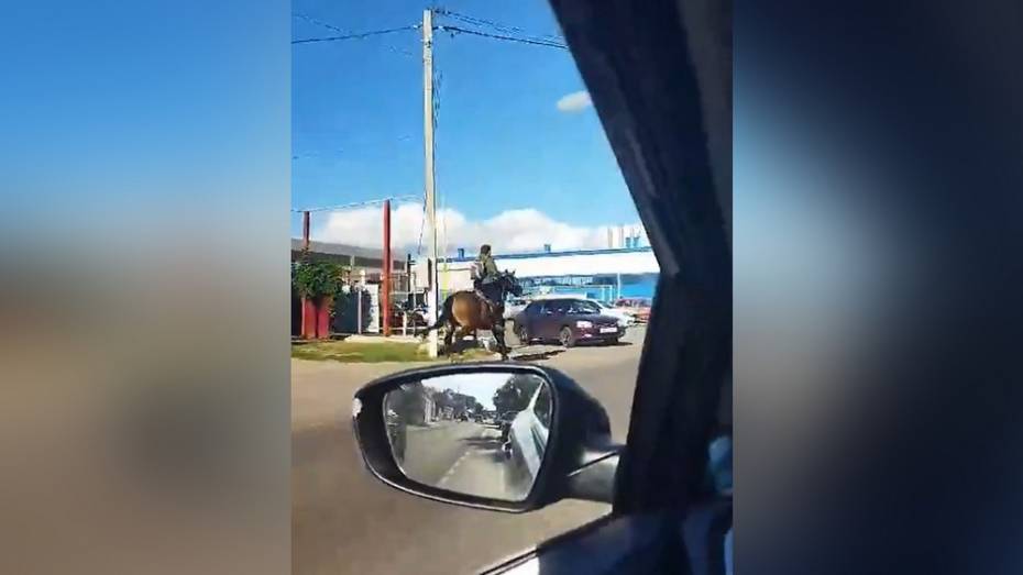 Необычное ДТП с лошадью и «Ладой Калиной» сняли на видео в Воронежской области