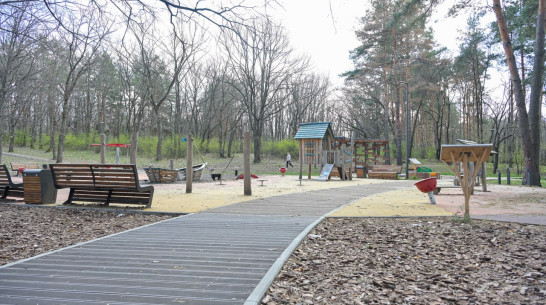 Александр Гусев: у воронежцев осталось чуть больше недели, чтобы выбрать территории для благоустройства в 2026 году