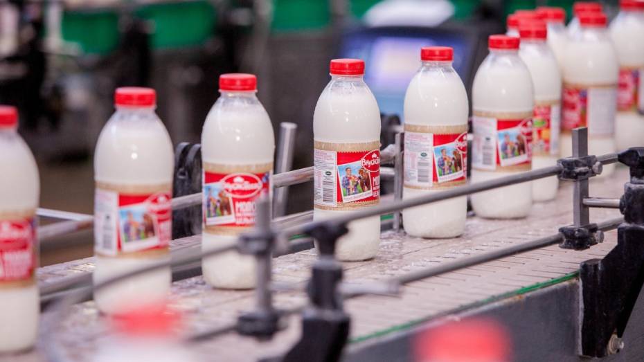 Воронежский «Молвест» обошел российские компании-гиганты по динамике переработки молока
